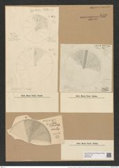 Coscinodiscus curvatulus var. subocellatus Grun. (de-Toni-Nr.: Genus 202, Species 4928) Zeichnungen Sammlung Grunow Nr. 8510 (NHMW-BOT-W0378130)